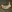 Seas of Fortune: Great Discovery
